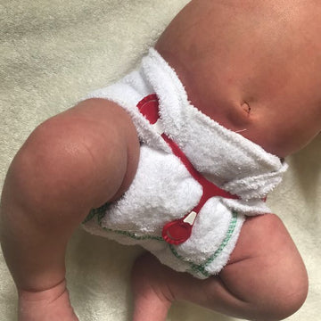 Fralda Pré-Dobrada Bambu e Algodão Diversifold Pack-3 Seedling Baby Mini